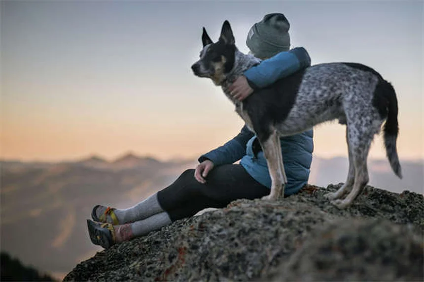 Segni di stress nel gatto: 8 sintomi da non ignorare